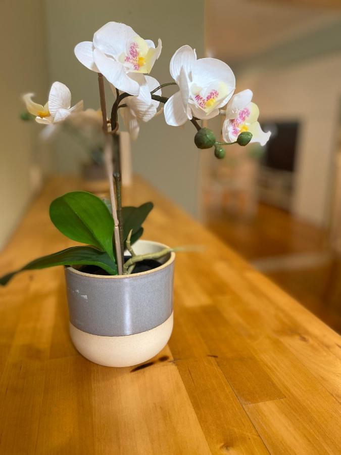 Apartamento Bairro Alto 1